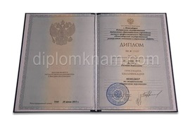 Диплом бакалавра с 2012 по 2013 годы